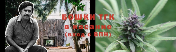 спиды Богородск