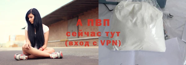 спиды Богородск